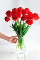 Girl hand hold red tulips bouquet in glass vase on wood table