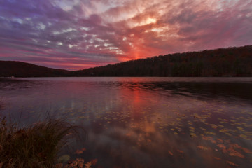Sunset on the forest lake.