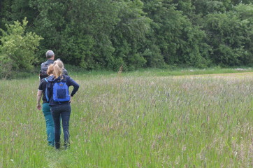 Hiking through a meadow