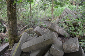 Concrete blocks ruin in a forest