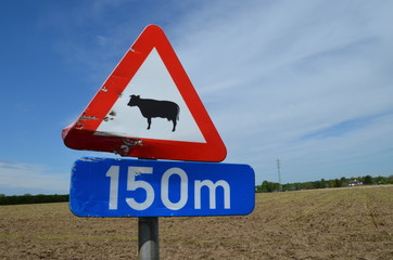 Sign cow crossing at 150 meter
