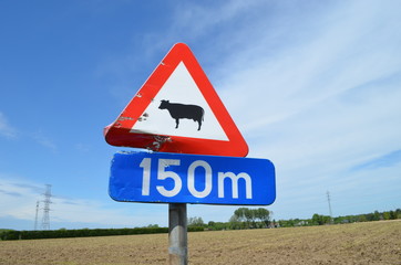 Fototapeta premium Sign warning for cows at 150 meter