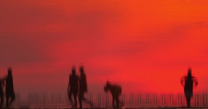 Flipped abstract video of people play soccer near water at sunset. Silhouettes