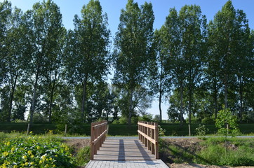 Wooden bridge to concrete track lined by poplar trees