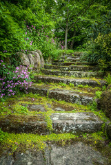 Rugged Garden Steps