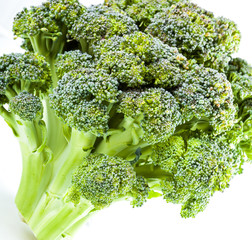 Сurd. Broccoli closeup