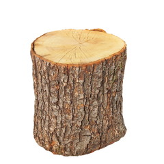 oak stump, stump log fire wood isolated on white background 
