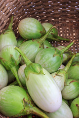 eggplant in basket
