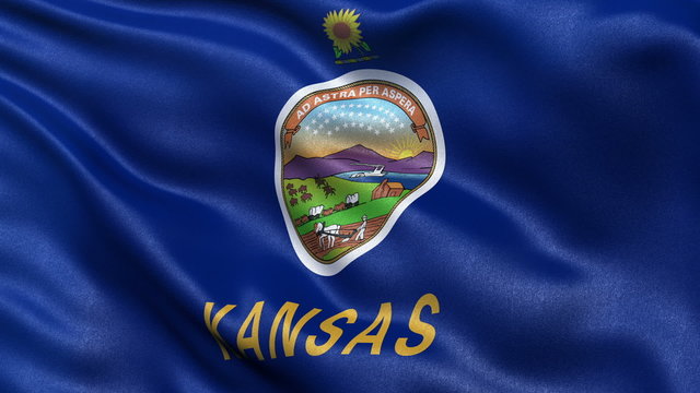 US state flag of Kansas waving in the wind - seamless loop 