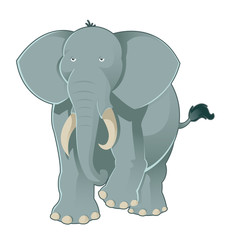 Gray elephant