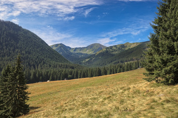 Fototapeta na wymiar Chocholowska Valley in the Tatra Mountains, Poland.