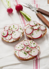 Sandwich with radish, cheese and fresh chive