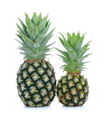 Fototapeta premium Pine apple isolated on the white background
