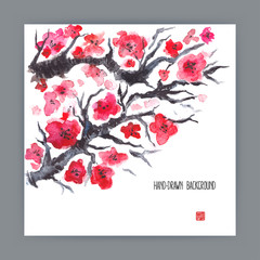 illustration with blooming sakura
