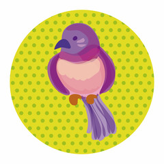 bird cartoon design elements vector