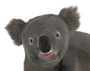 3d render of koala bear © bescec