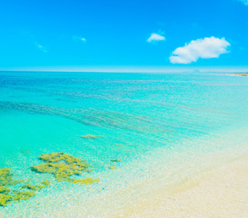 paradise beach and clear sky