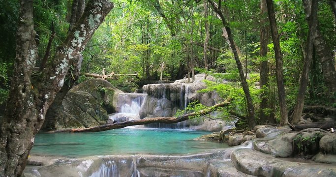 Exotic tropical forest with beautiful waterfall and crystal clear pond. Loop vid