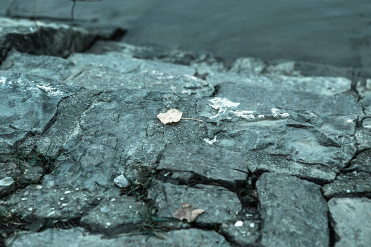 steps into the water