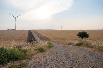 apulia