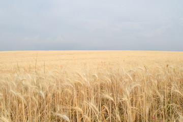 Apulia