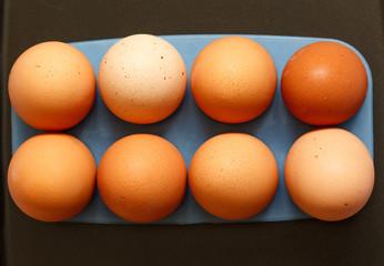 Fresh eggs
