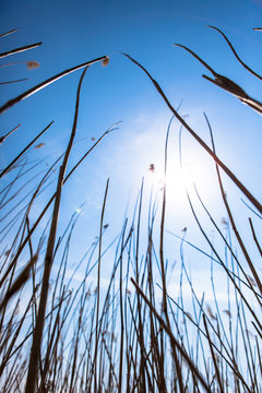 Enjoy the sun