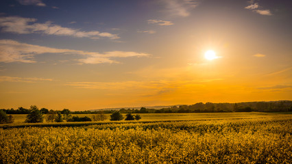 Obraz premium Country landscape