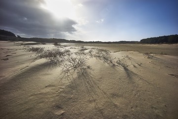 sand dunes with sky and clouds