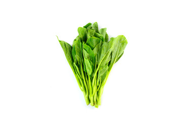 fresh chinese kale vegetables isolated on white