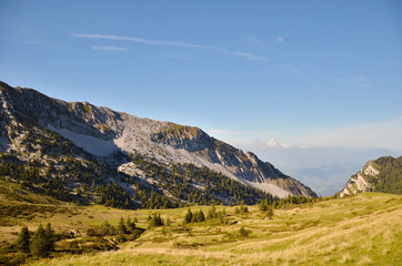 Fototapeta premium Au col de la Vache (Chartreuse sud / Isère)