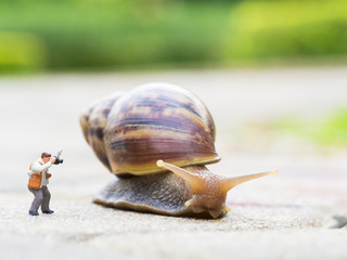 toy charactor in using camera