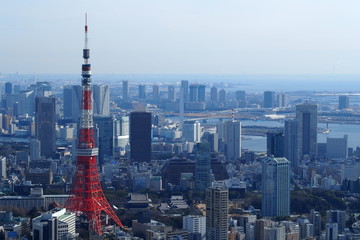 Fototapeta premium 六本木ヒルズ展望台からの東京タワー