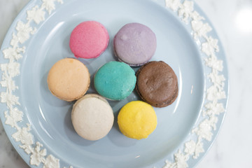 Macaroon Color