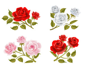 Vector rose buttonholes