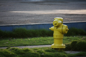 Yellow fire hydrant, USA, Kailua, Hawaii