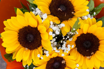 yellow flowers pattern