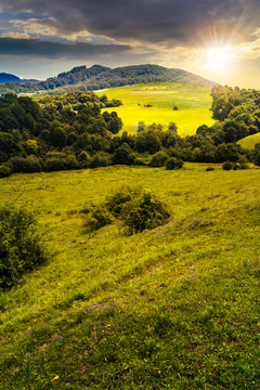 agricultural field on hillside meadow at sunset