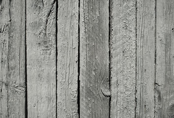 White grunge wooden background