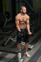 Dumbbell Concentration Curls