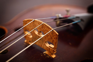 Classic old violin