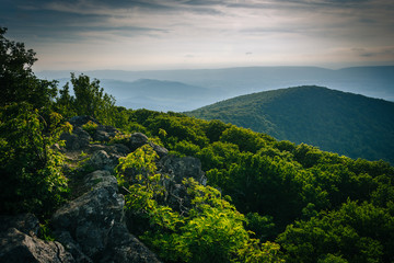 Evening view from Hawksbill Summit, in Shenandoah National Park,