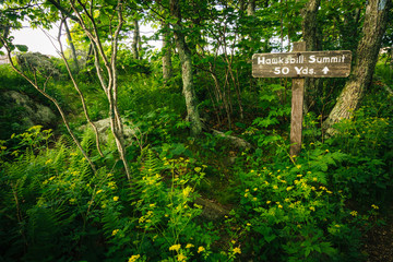 Sign for Hawksbill Summit, in Shenandoah National Park, Virginia