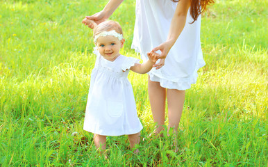 Mother holding hands baby walking together on the grass in sunny
