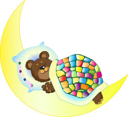 Bear sleeping on the Moon
