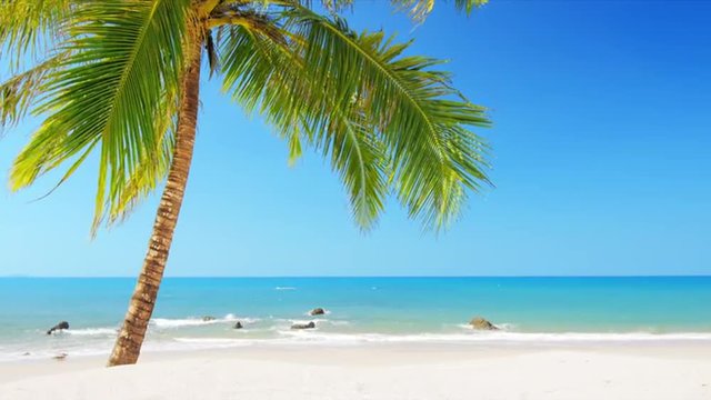 Idyllic paradise beach with white sand, blue sky and coconut palm tree 