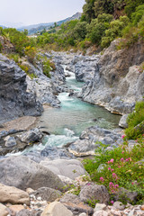 Naklejka premium Gole Alcantara