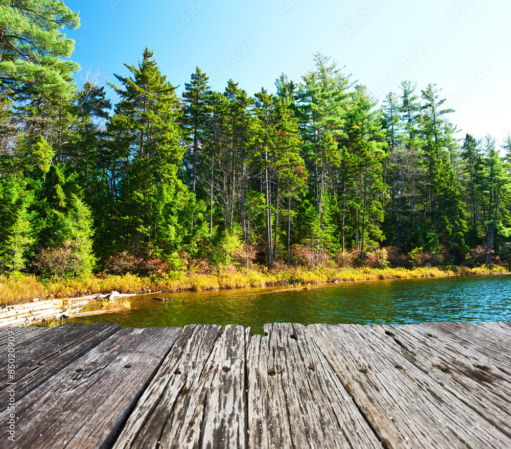 Wall mural pond in white mountain national forest, new hampshire