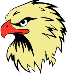 vector illustration of an eagle's head