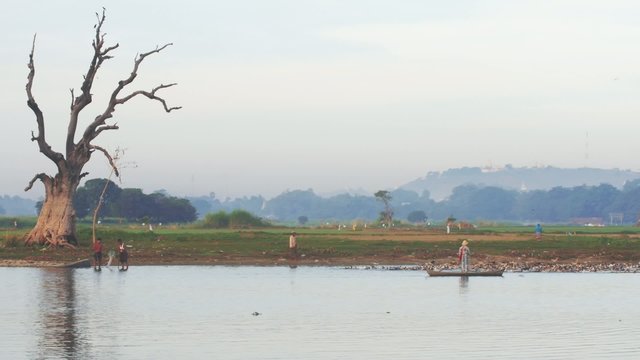 Burmese peasants fishing with net and grazing ducks in rural area near U Bein